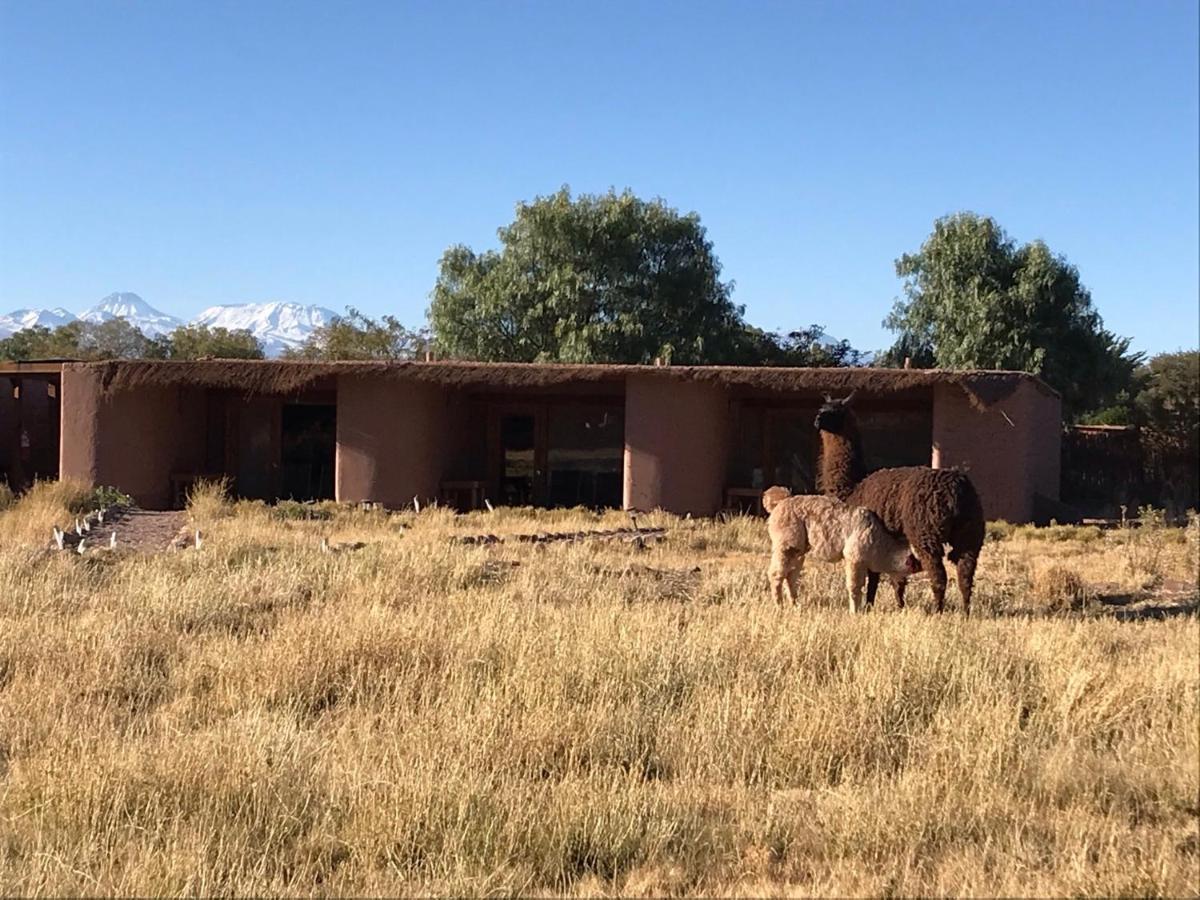 Eco-Lodge El Andinista San Pedro de Atacama Exterior foto